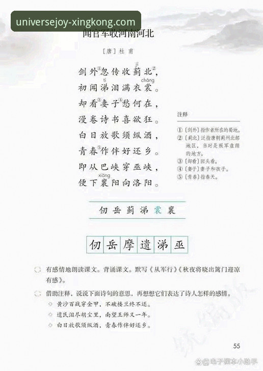 揭秘星空娱乐手机登录安卓版：2026新版背后的交互逻辑与安全架构