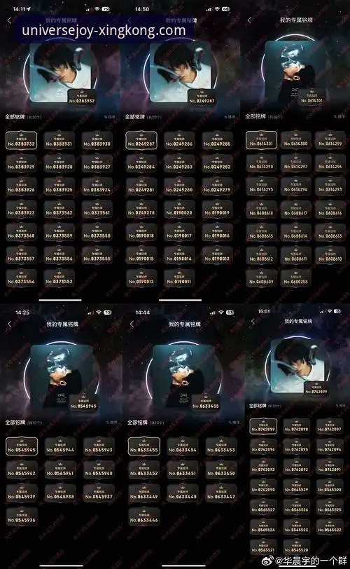 星空娱乐登录入口使用指南 vs 传统登录方式：哪个更值得选择？